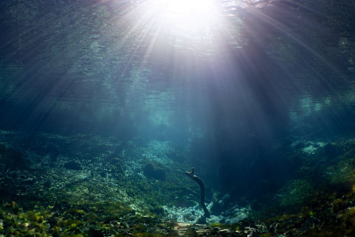Sacred Blue Portals collection, sunlight piercing the water of a Florida spring