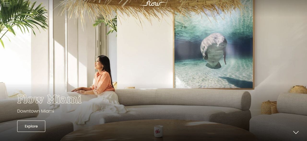 Brandon’s manatee artwork hanging in the lounge at Flow Miami, shown on Flow’s website